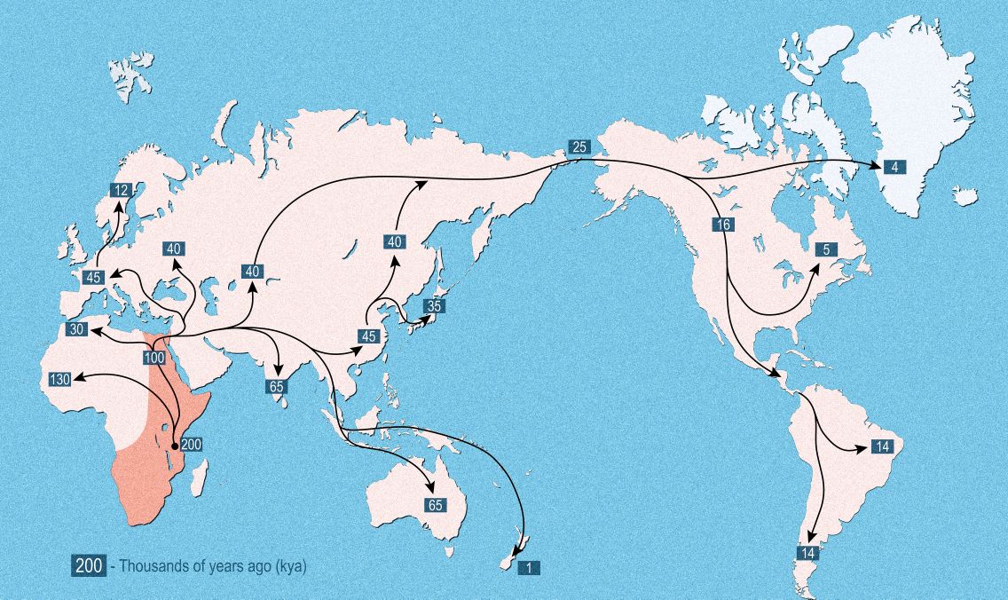 全世界にわたるアフリカからの初期の人間の拡大、矢印で描かれた移住経路、移動方向と大陸での定住の時間による世界的な拡大。 ©Designua | DreamsTimeストックフォトからライセンス供与