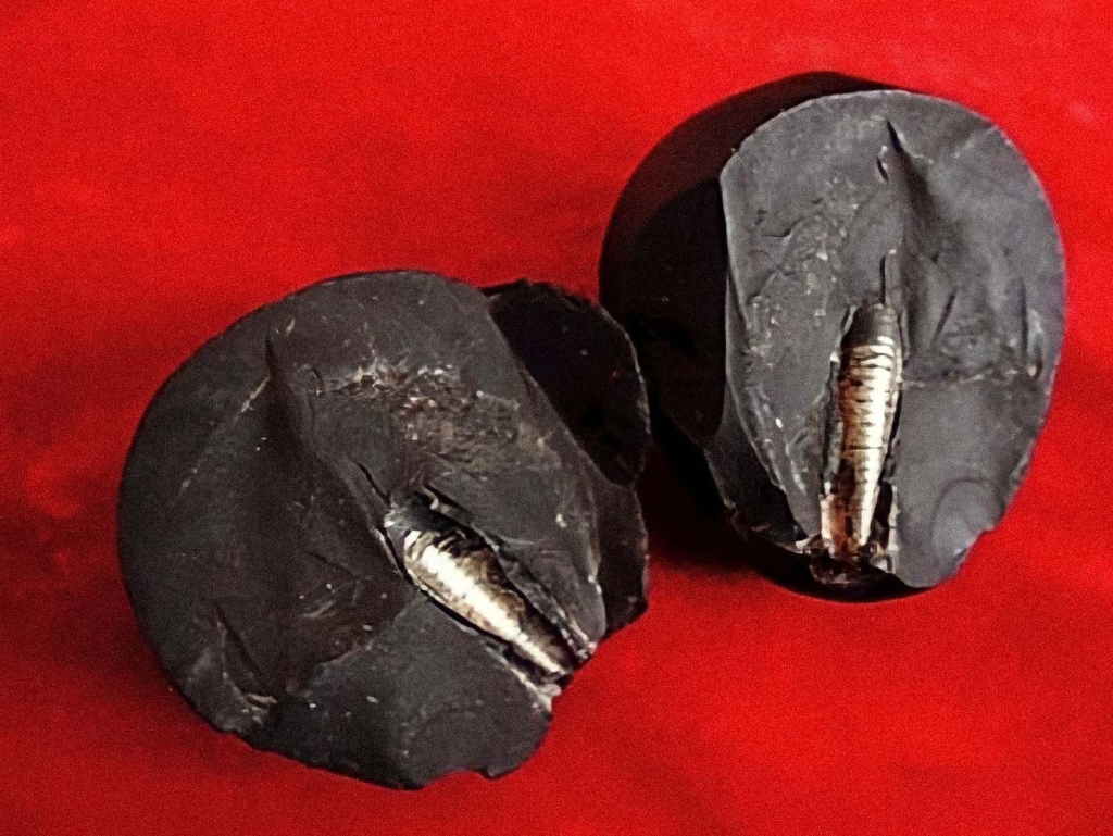 Η πέτρα Lanzhou: Αυτή η ασυνήθιστη πέτρα από έναν συλλέκτη στο Lanzhou τράβηξε τεράστια προσοχή από πολλούς ειδικούς και συλλέκτες. Η πέτρα ήταν ενσωματωμένη με μια μεταλλική ράβδο με βιδωτό σπείρωμα και υπάρχει υποψία ότι προέρχεται από το διάστημα.