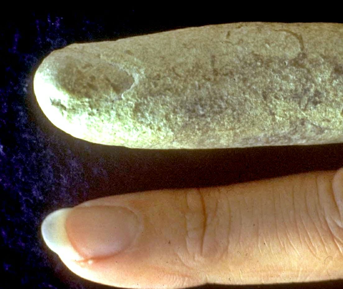 fossilt finger
