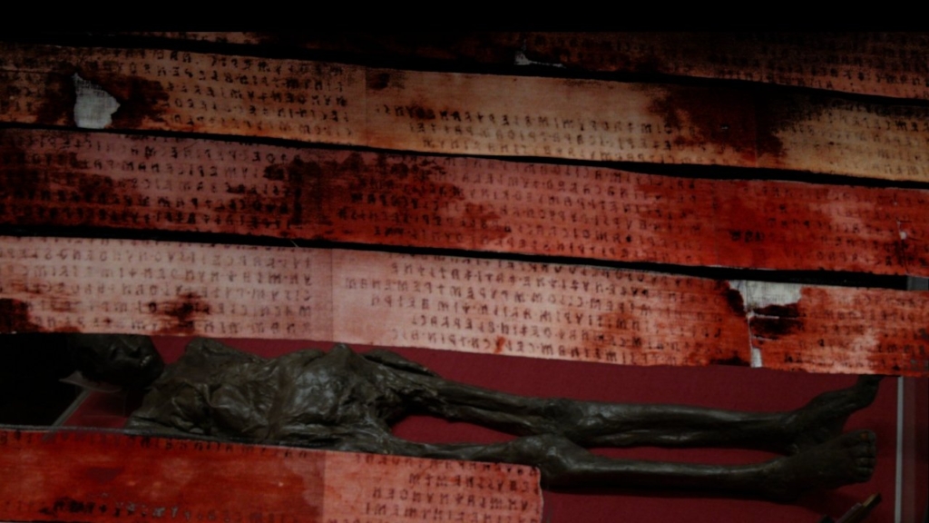 The Liber Linteus: An Egyptian mummy encased in a secret message 4