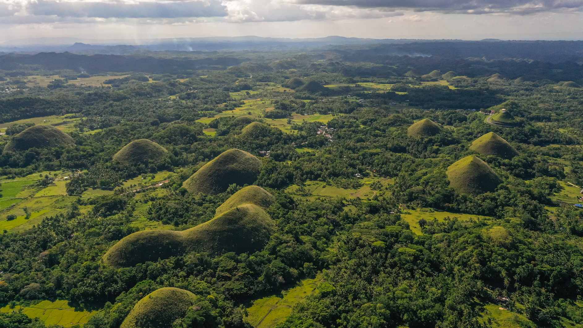 Bryniau ymhlith tiroedd fferm. Tirnod naturiol Chocolate Hills, ynys Bohol, Philippines. © Credyd Delwedd: Alexey Kornylyev | Trwyddedig o DreamsTime, ID: 223476330