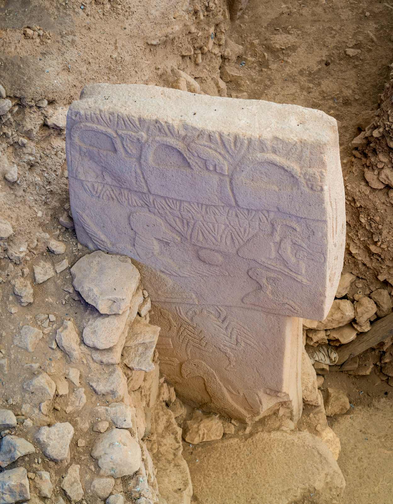Vreemde gravures in Göbekli Tepe onthullen een verwoestende komeetinslag ongeveer 13,000 jaar geleden! 2