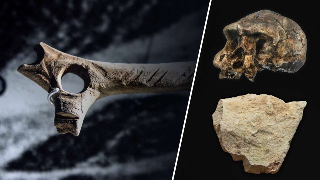 Tools that predate the first humans – a mysterious archaeological discovery 6