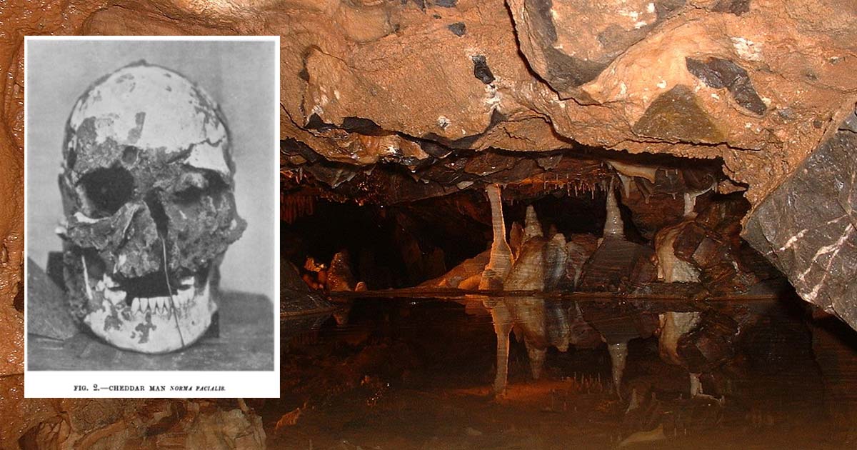 'Cheddar Man' mwenye umri wa miaka 9,000 anashiriki DNA sawa na mwalimu wa Kiingereza wa historia! 1