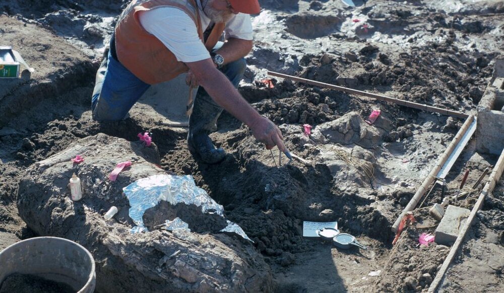 130,000 વર્ષ પહેલાં કેલિફોર્નિયામાં માનવીઓ? 3