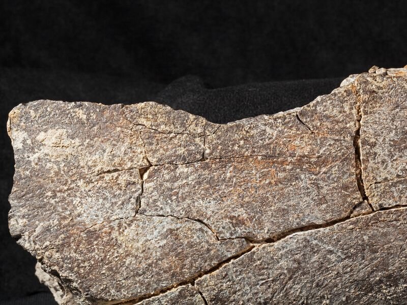 Humans a Califòrnia fa 130,000 anys? 2