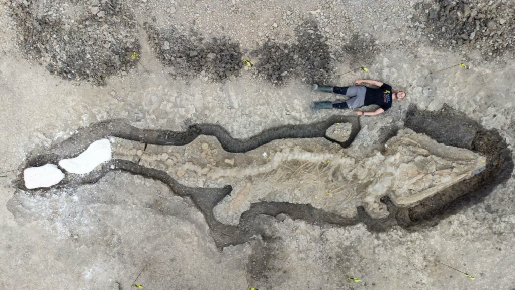 Fóssil gigante de 'dragão do mar' de 180 milhões de anos encontrado no reservatório 7 do Reino Unido