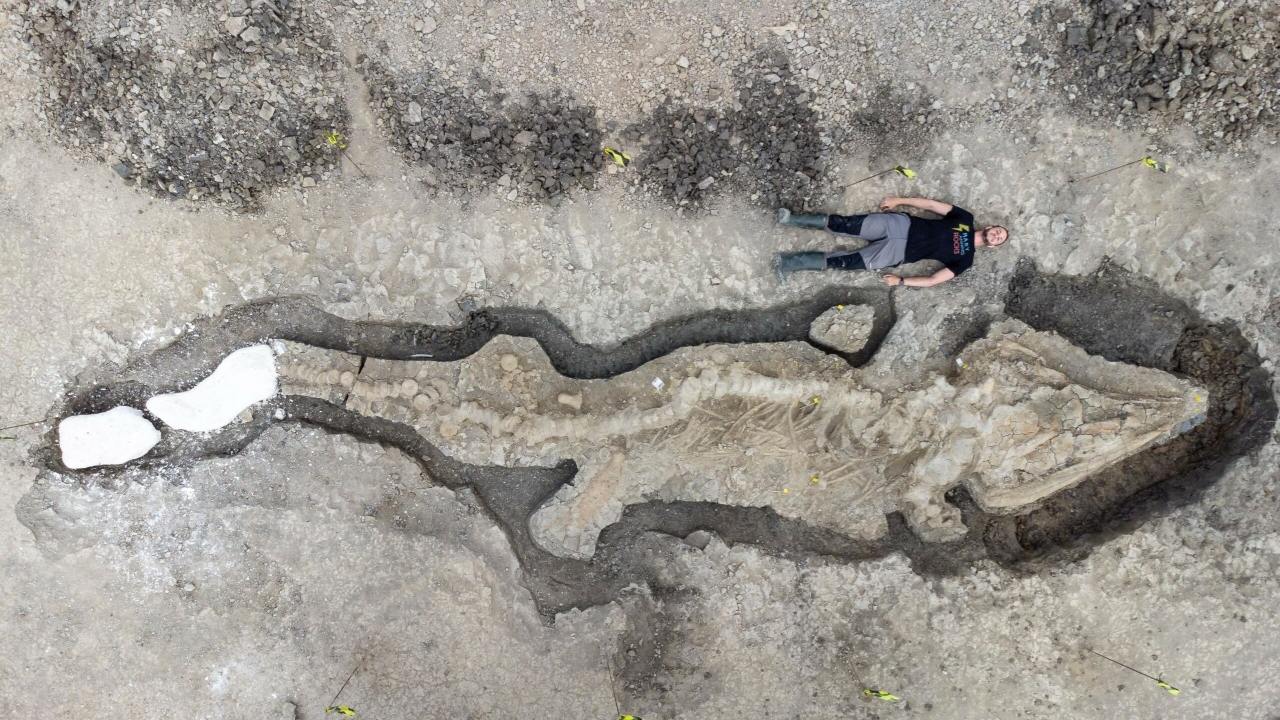 Гигантски вкаменелости на "морски дракон" на 180 милиона години откриха в резервоар 1 в Обединеното кралство