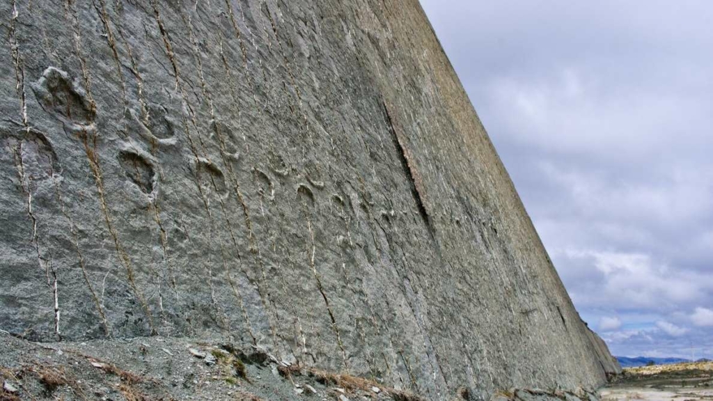Jalajäljed seinal: kas dinosaurused ronisid Boliivias kaljudel? 1