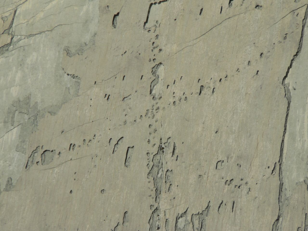 Voetafdrukken op de muur: beklommen dinosaurussen echt de kliffen in Bolivia? 3