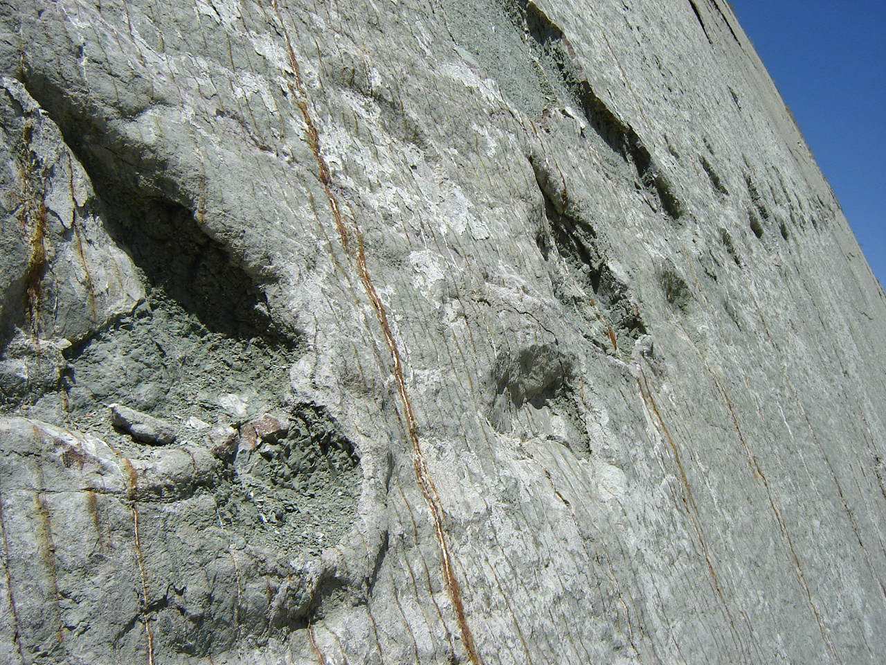 Ίχνη στον τοίχο: Στην πραγματικότητα οι δεινόσαυροι σκαρφάλωναν στα βράχια στη Βολιβία; 2