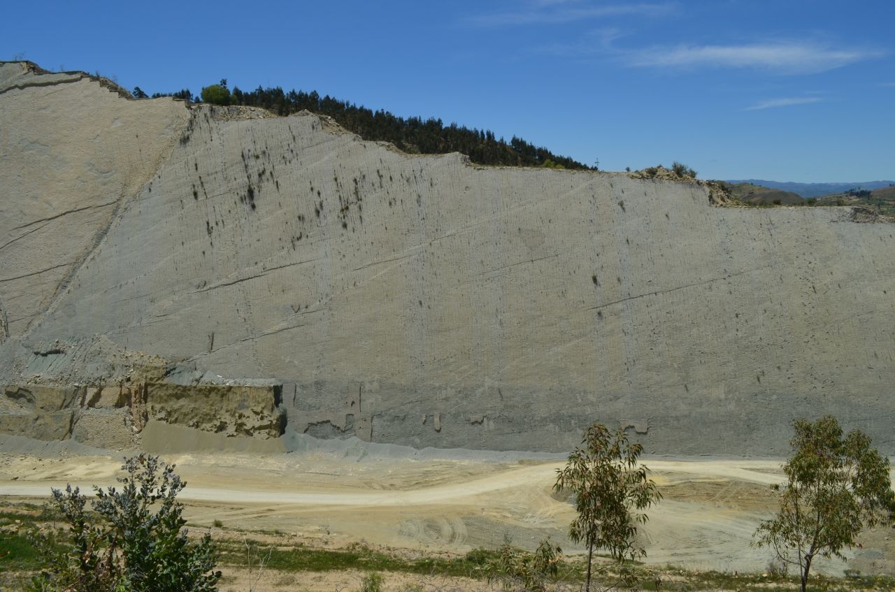 Duvardaki ayak izleri: Bolivya'daki kayalıklara gerçekten dinozorlar mı tırmanıyordu? 1