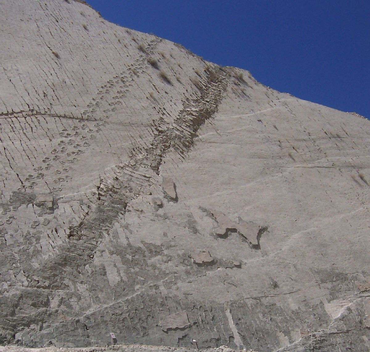 Voetafdrukken op de muur: beklommen dinosaurussen echt de kliffen in Bolivia? 6
