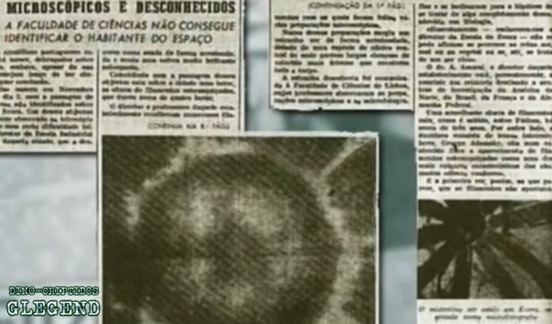 Evora’s creature: An extraterrestrial giant organism in Portugal 4