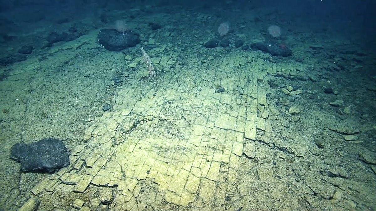 Para ilmuwan mengikuti 'jalan bata kuning' di tempat yang belum pernah dilihat sebelumnya di Samudra Pasifik 1