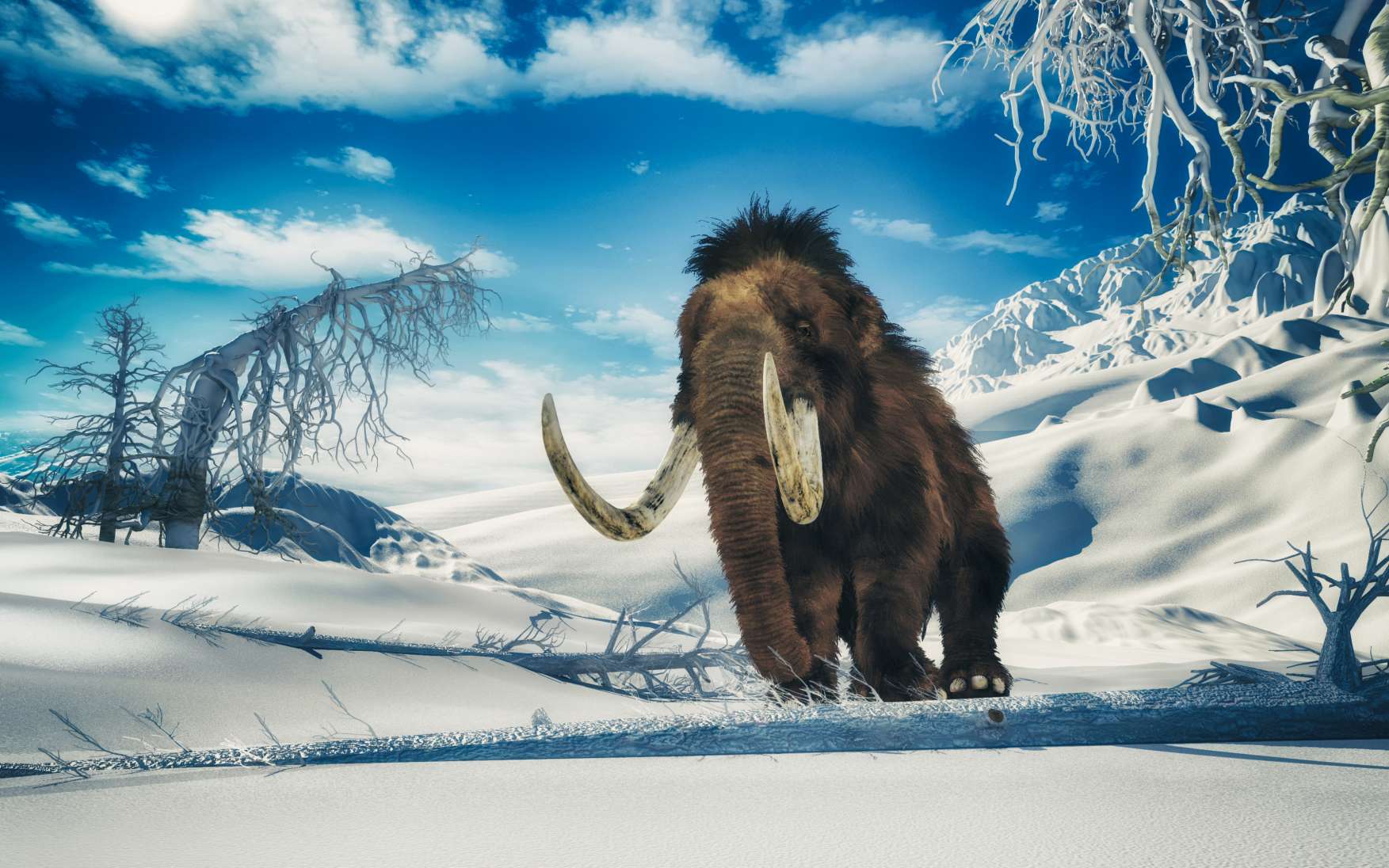 ຄວາມລຶກລັບຂອງ carcasses mammoth frozen ໃນ Siberia 1