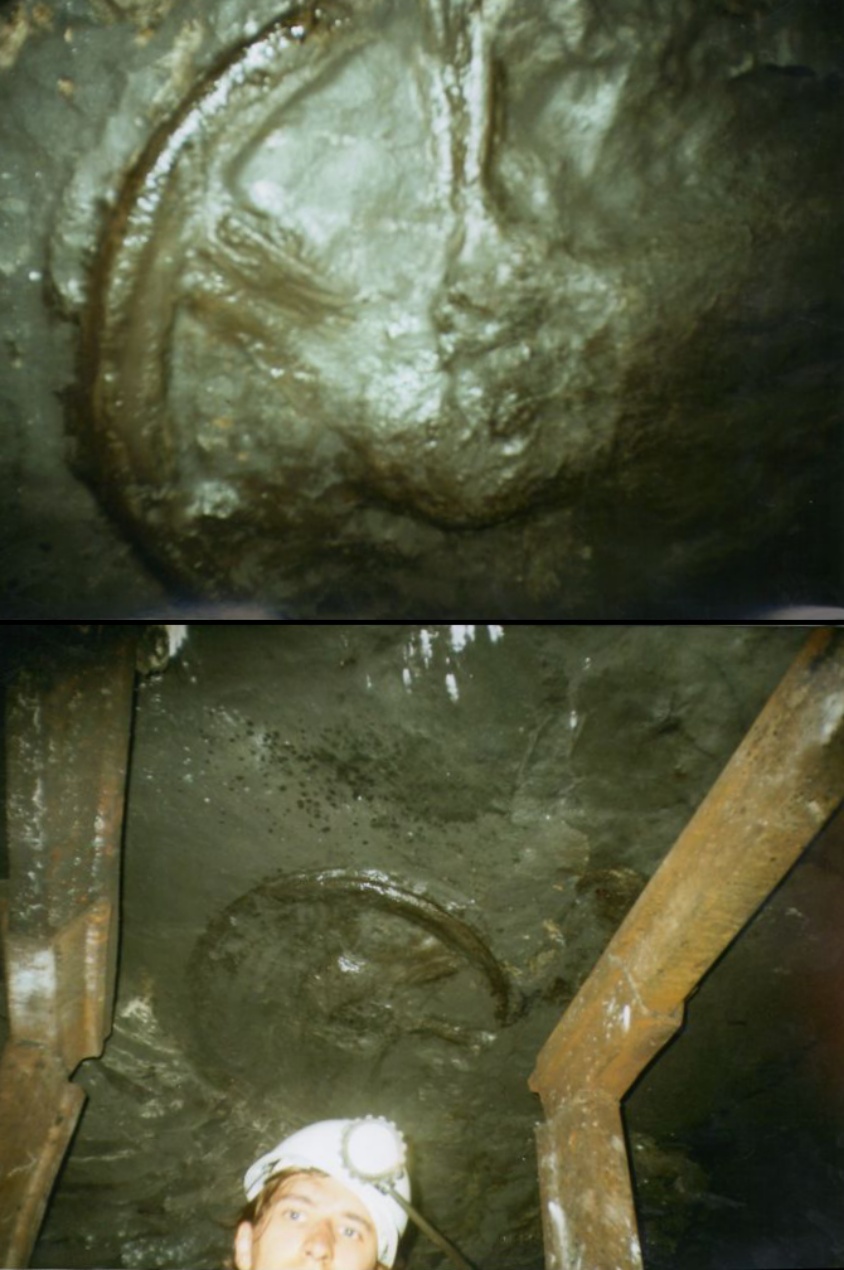 300 miljoner år gammalt hjul hittat i en gruva i Ukraina! 1