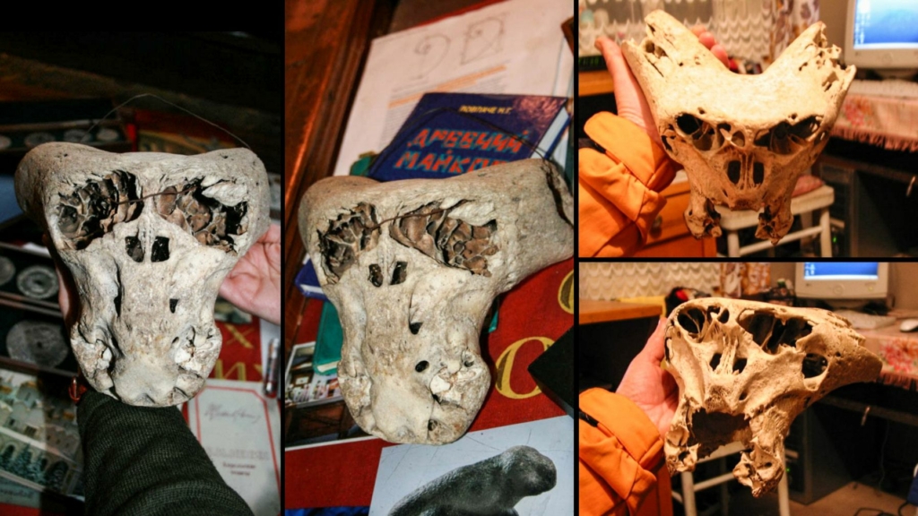 Bolshoi Tjach Skulls – the two mysterious skulls discovered in an ancient mountain cave in Russia 3