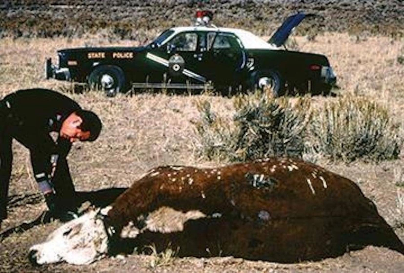 Gabe Valdez, bývalý policista státu Nové Mexiko, tvrdil, že našel zohavenou krávu s podivným tvorem uvnitř