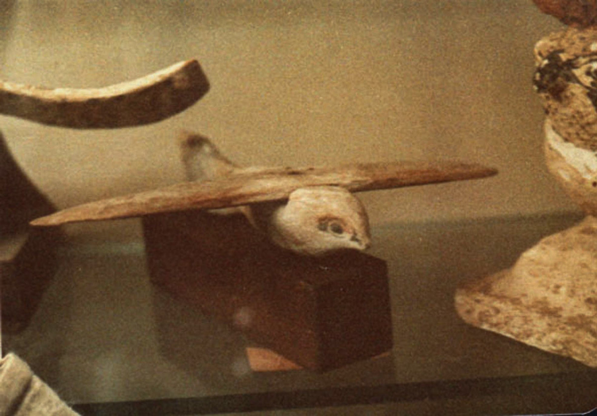 Der Segelflieger von Sakkara – ein deplatziertes Artefakt?