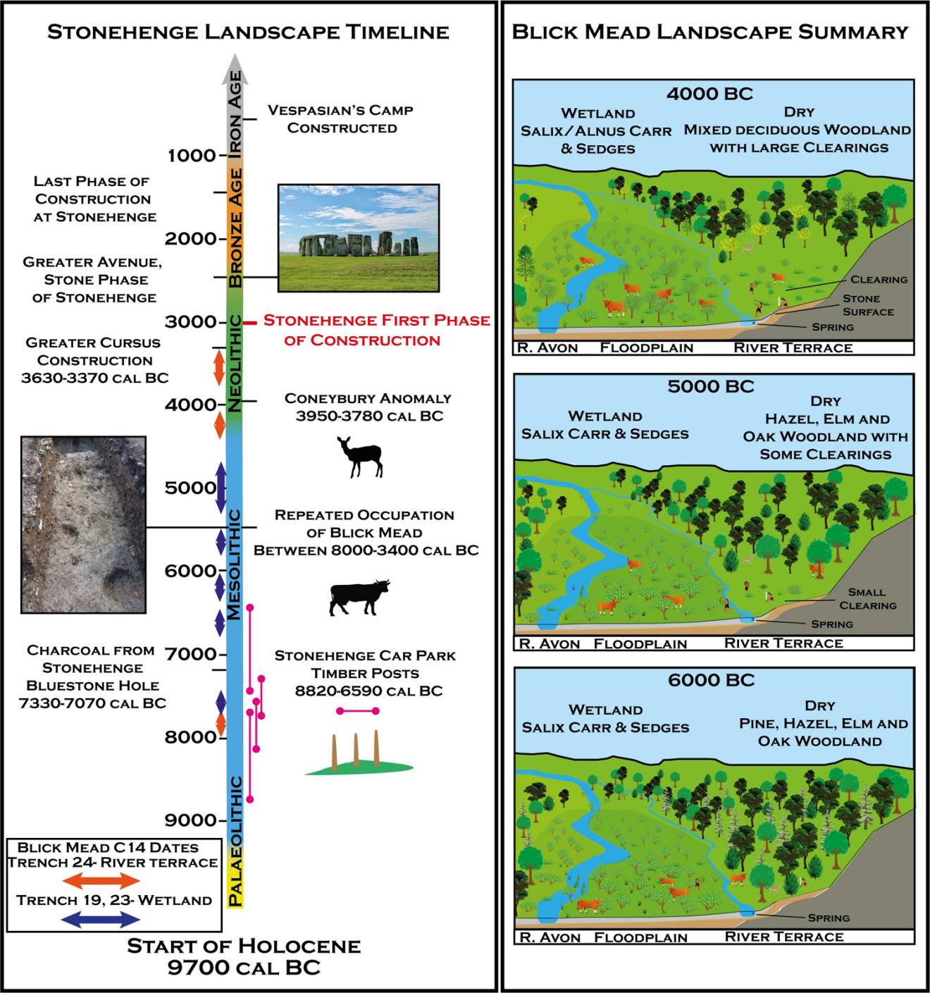 Α) Χρονοδιάγραμμα του τοπίου του Στόουνχεντζ, συμπεριλαμβανομένων των ημερομηνιών ραδιενεργού άνθρακα από το Blick Mead και άλλους σημαντικούς αρχαιολογικούς χώρους παγκόσμιας κληρονομιάς του Stonehenge. Β) Αναπαράσταση της εξέλιξης της ιστορίας της βλάστησης στο Blick Mead με βάση τα παλαιοπεριβαλλοντικά δεδομένα.
