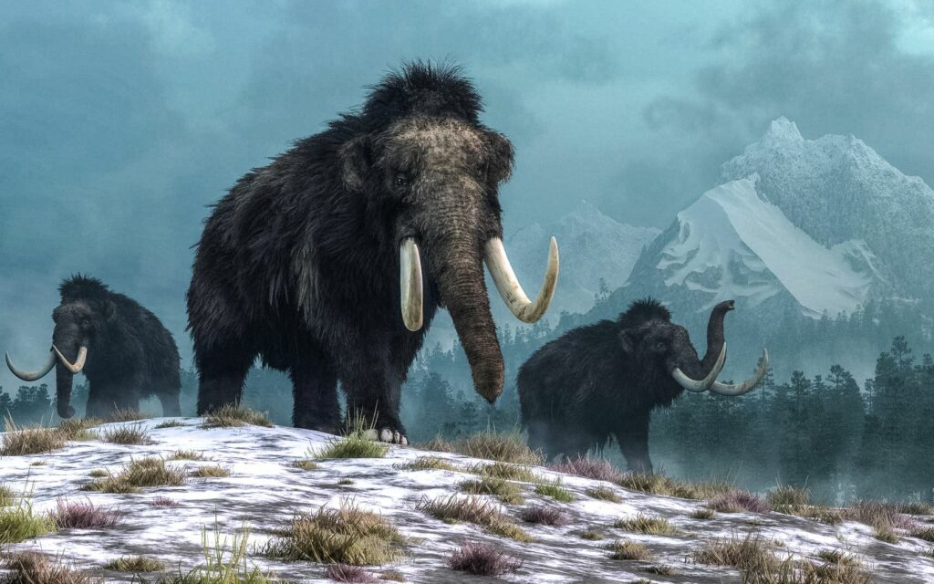 Scientists solve long-standing mystery of what may have triggered ice age 7