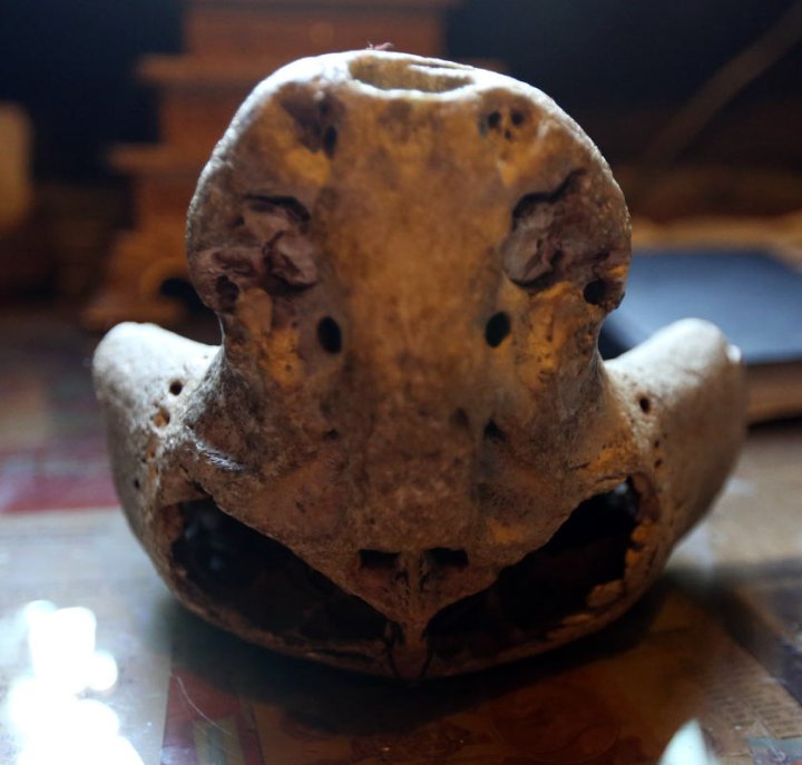 Tengkorak Bolshoi Tjach - dua tengkorak misteri yang ditemui di sebuah gua gunung purba di Rusia 3