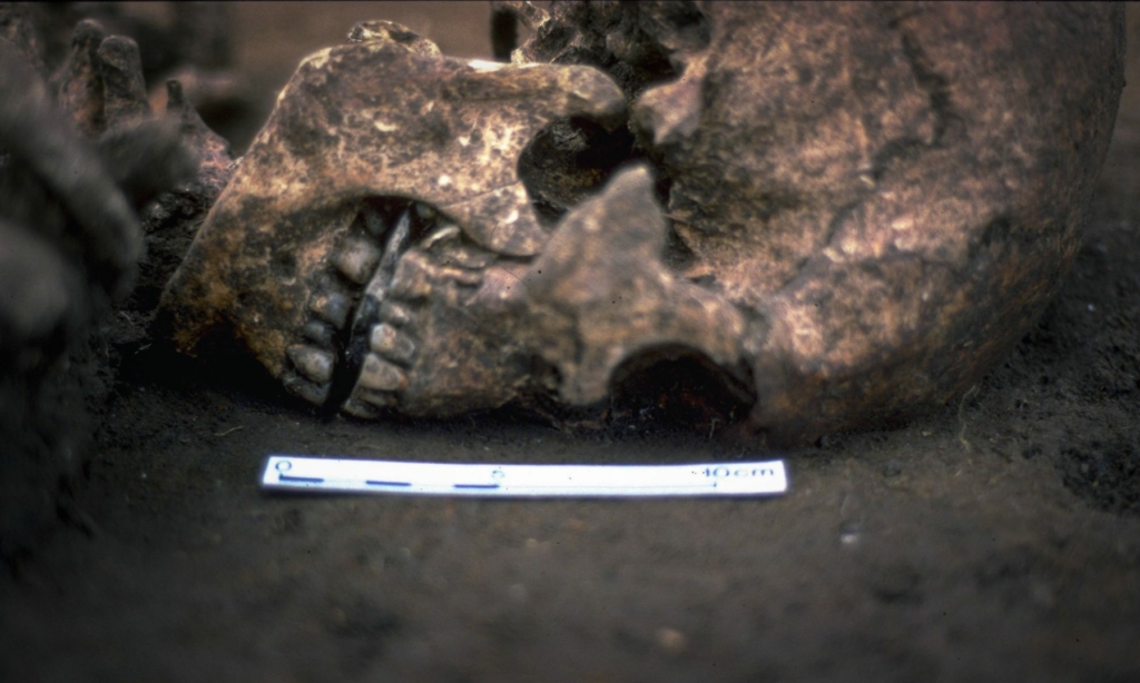 Scheletul bărbatului a fost găsit cu o piatră plată în gură, iar un nou studiu indică faptul că limba i-a fost amputată atunci când bărbatul era în viață.