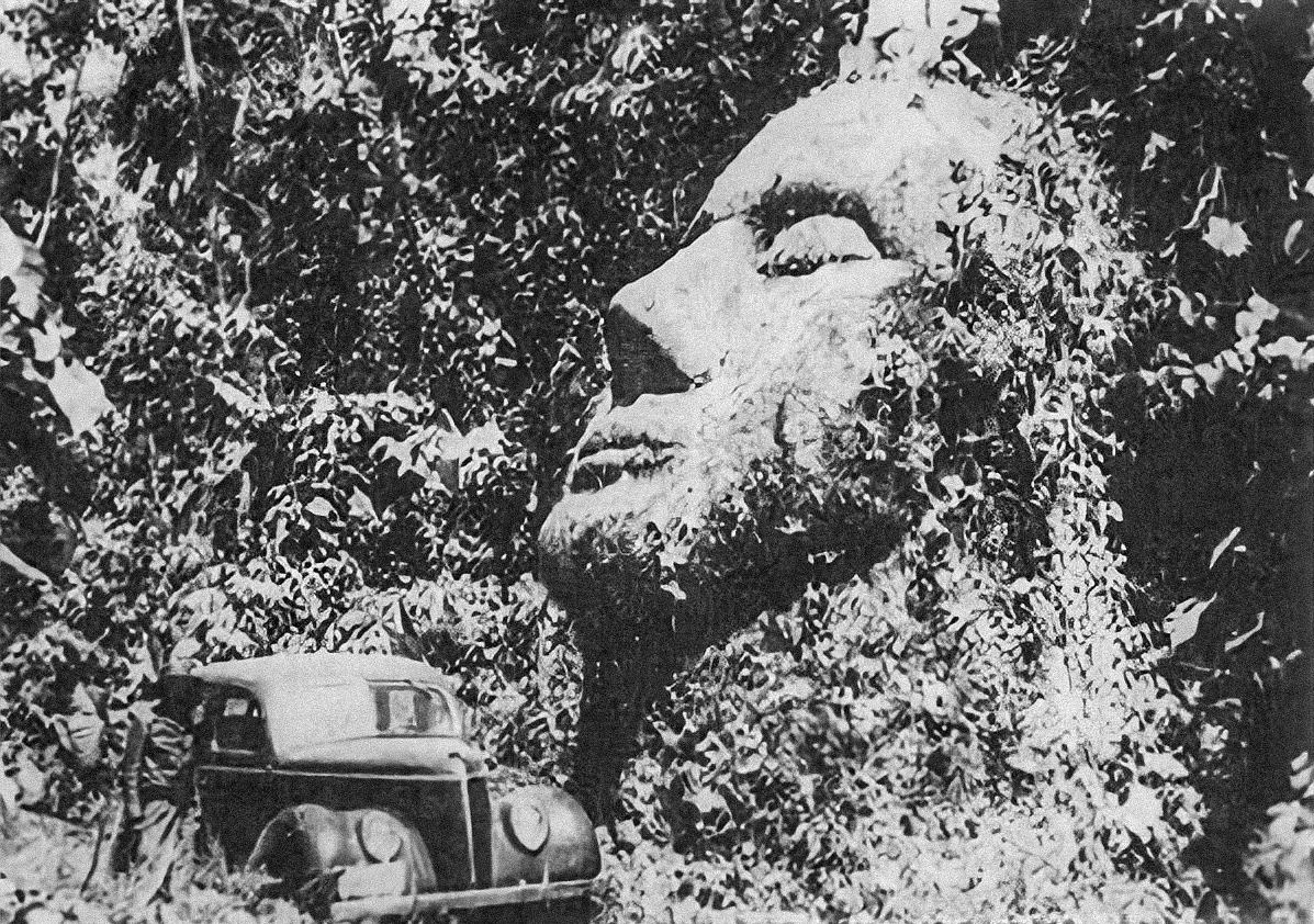 ग्वाटेमालाचे अस्पष्टीकृत 'दगडाचे डोके': अलौकिक सभ्यतेच्या अस्तित्वाचा पुरावा? 1