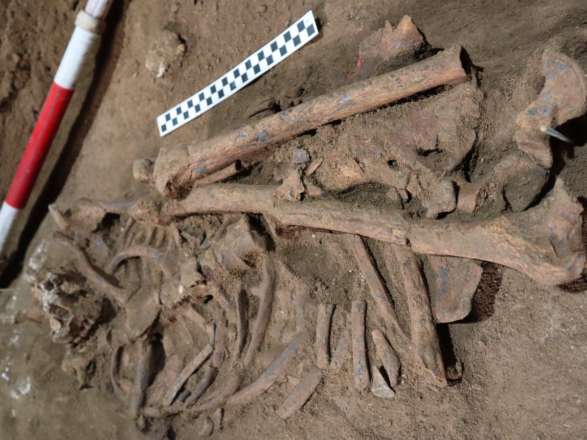 Um esqueleto de 31,000 anos mostrando a primeira cirurgia complexa conhecida poderia reescrever a história! 1