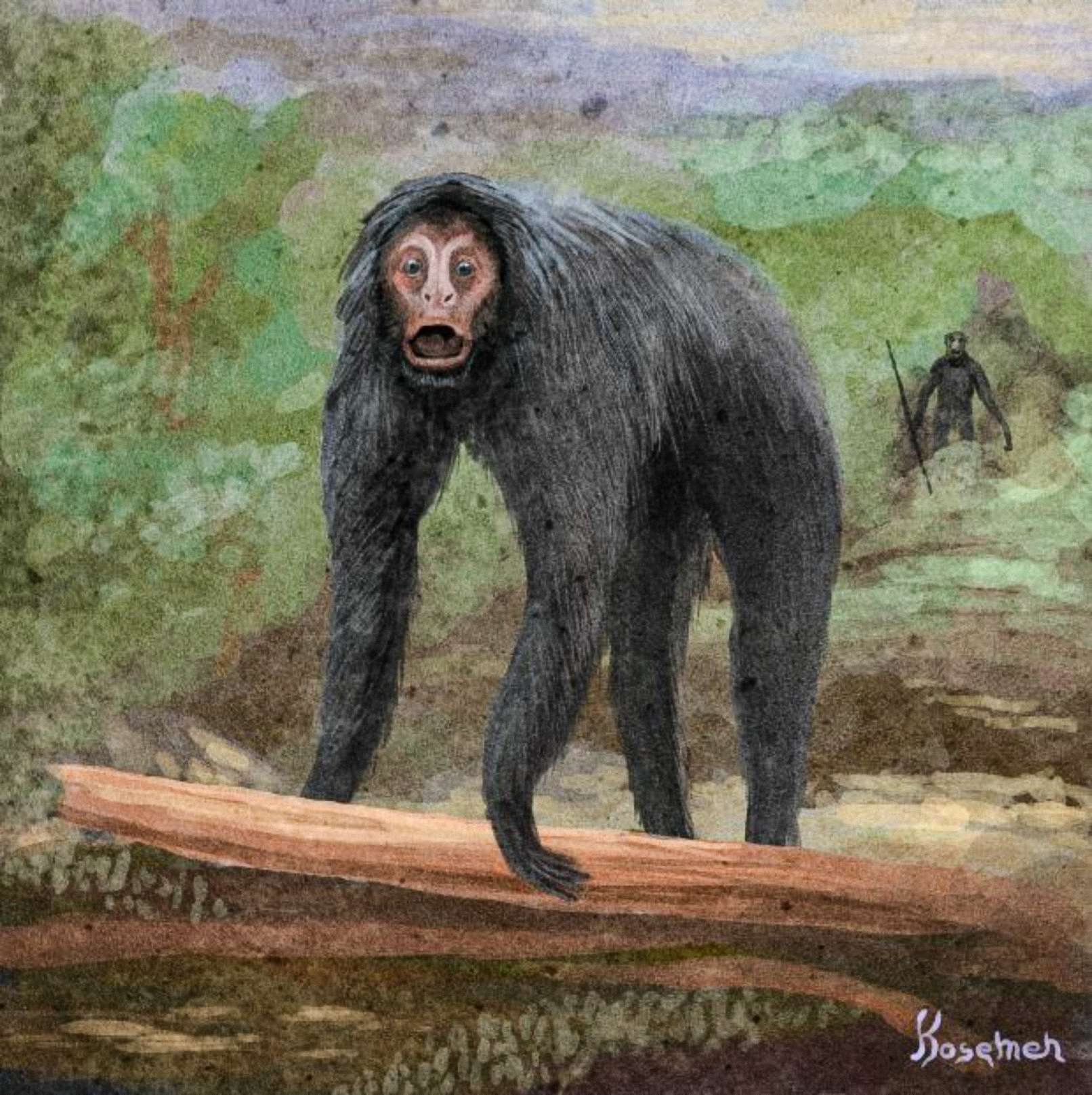 Spekulatīva notikuma interpretācija, otrs primāts, kas attēlots aizmugurē ar rīku (Kosemena māksla)