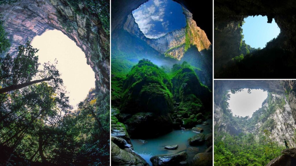 Giant sinkhole in China reveals an undisturbed ancient forest 5