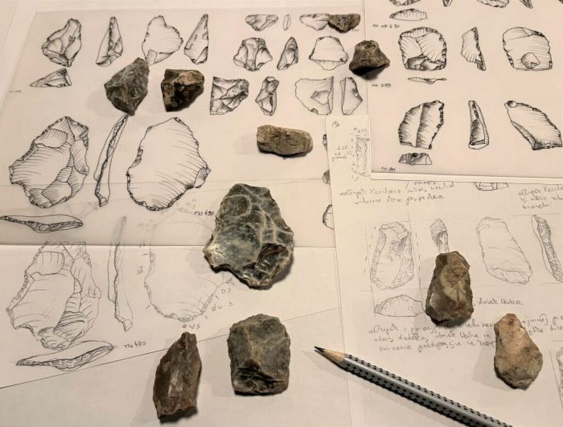 Tools Created 500,000-year-old Tools In Polish Cave May Have Belonged To Extinct ...