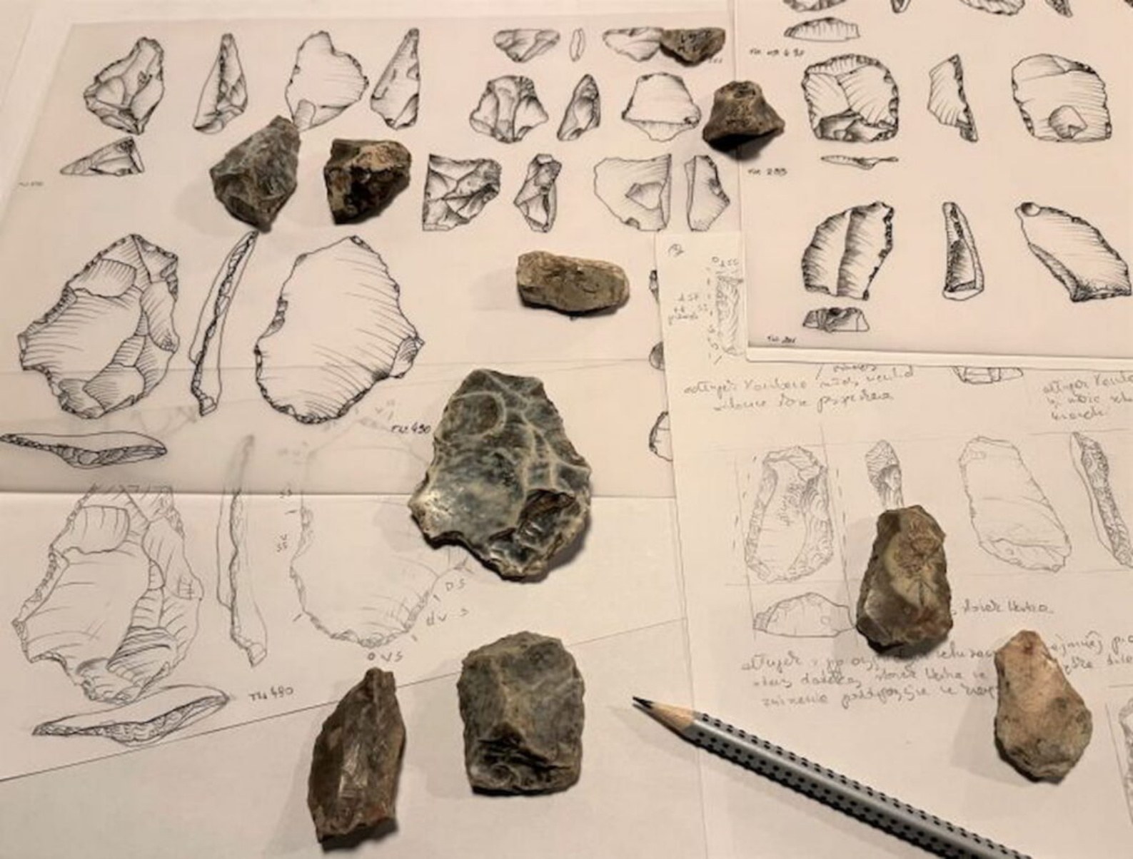 来自 Tunel Wielki 洞穴的燧石手工艺品，可能由 Homo heildelbergensis 在 XNUMX 万年前制造。