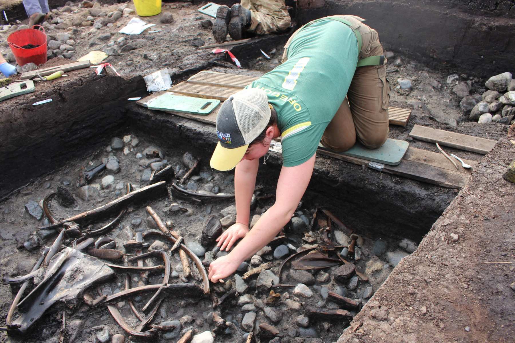 Tulang haiwan, peralatan dan senjata, bersama-sama dengan bukti kerja kayu yang jarang ditemui, telah digali semasa penggalian di tapak berhampiran Scarborough
