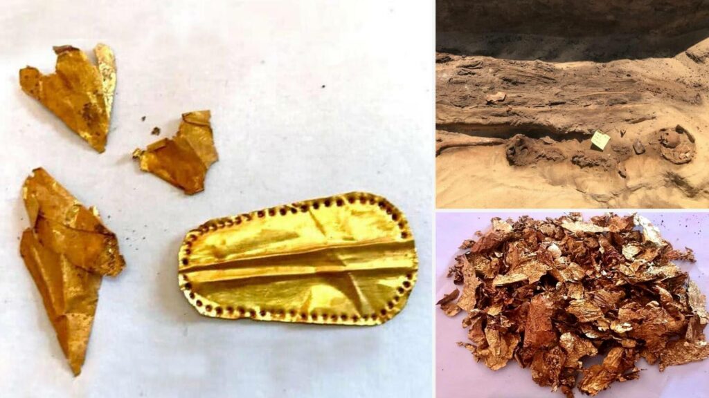 Mumii cu limbi de aur descoperite în necropola egipteană antică 6