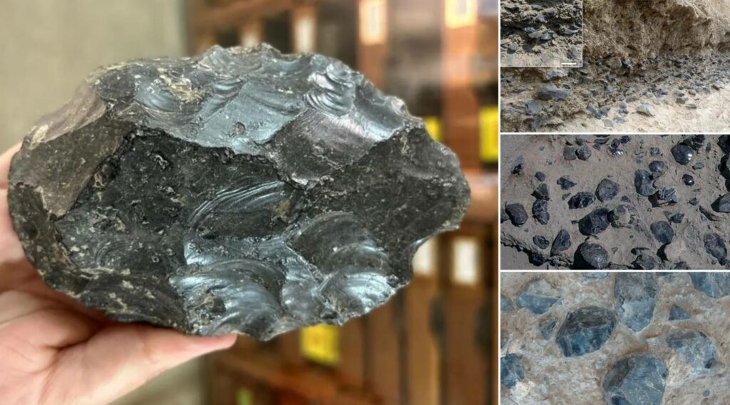 Usine de haches en obsidienne datant d'il y a 1.2 million d'années découverte en Ethiopie 8