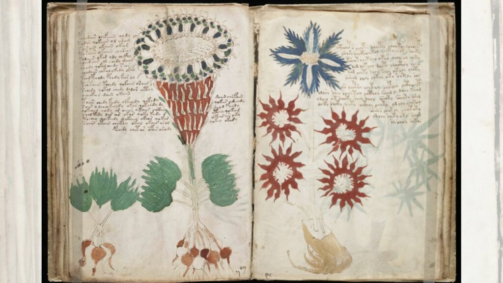 Tajemný Voynichův rukopis: Co potřebujete vědět 3