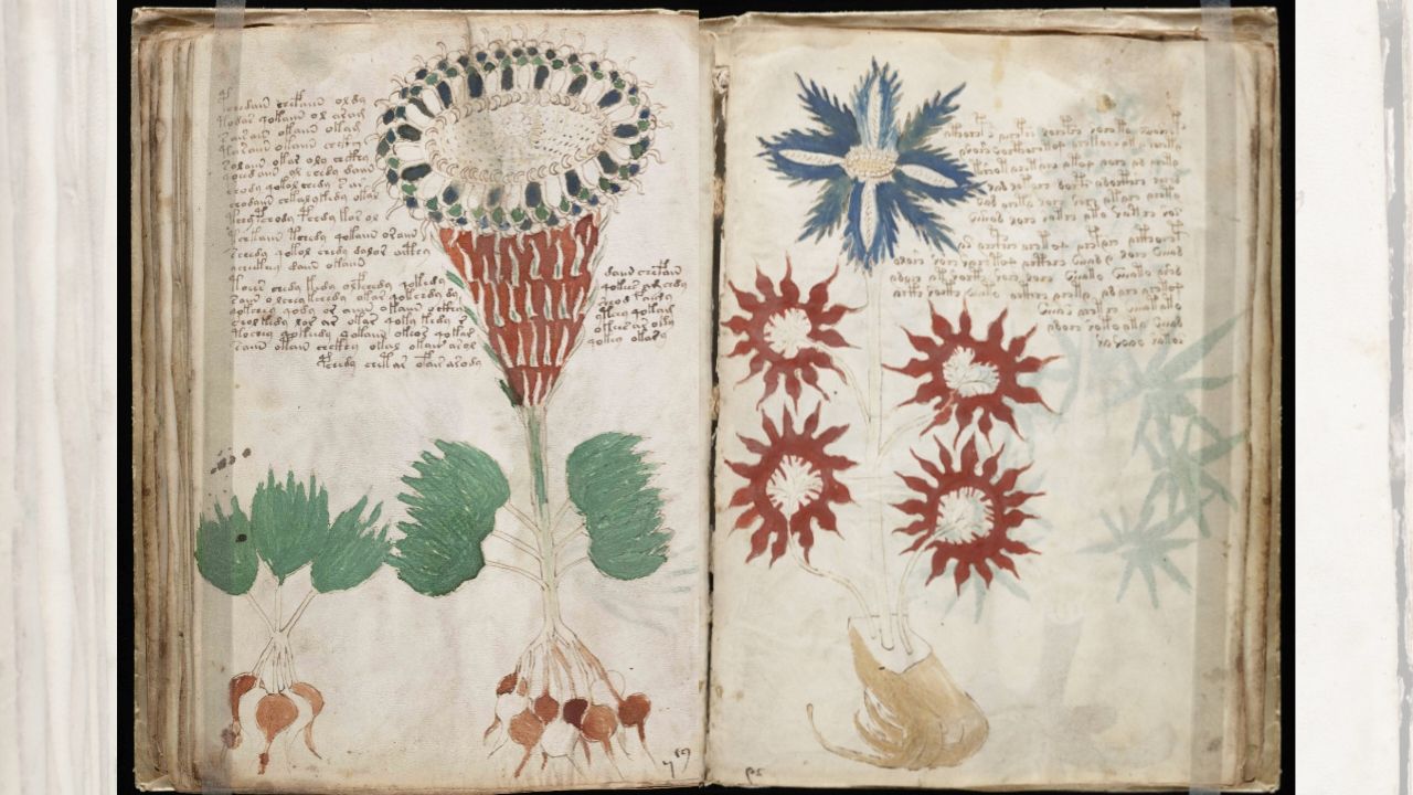 Det mystiska Voynich-manuskriptet: Vad du behöver veta 1