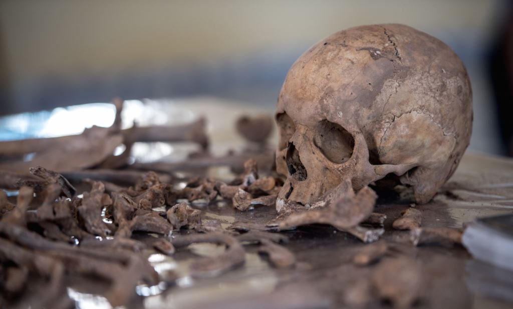 Recent skeletal DNA analysis proves German, Danish & Dutch origins of the English people 8