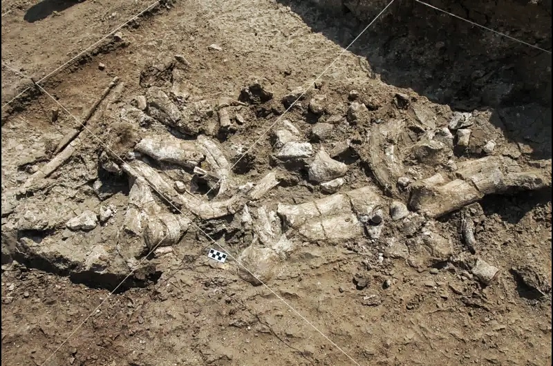 지금까지 발견된 가장 오래된 석기는 인간의 손으로 만든 것이 아니라고 연구 결과 1