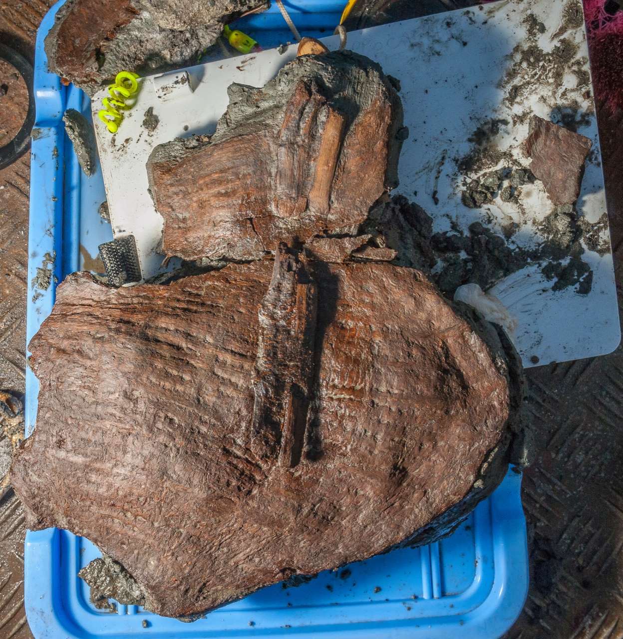 2,400 jaar oude manden nog steeds gevuld met fruit gevonden in de ondergelopen Egyptische stad 1