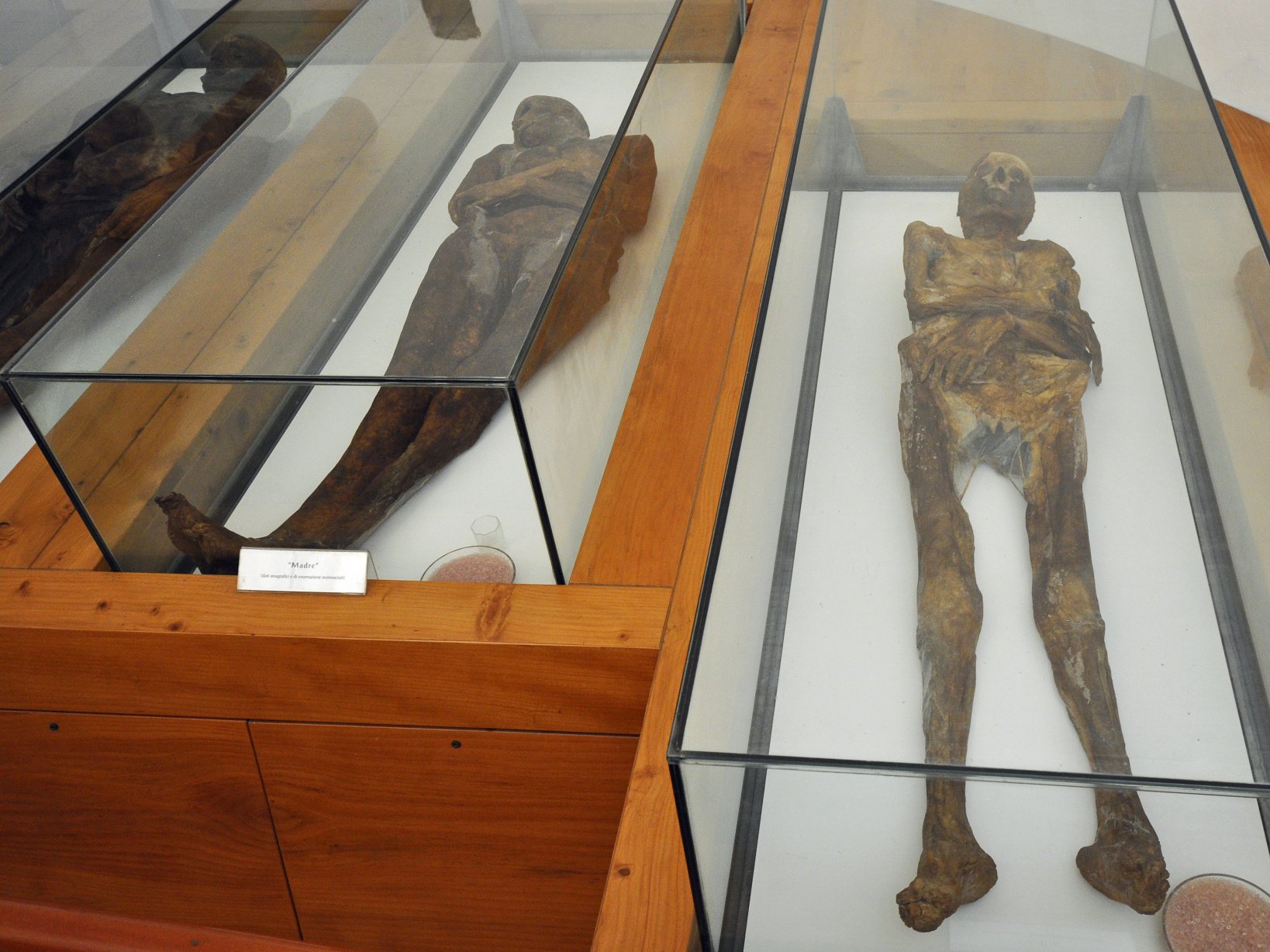 Las momias de Venzone permanecen expuestas en la Capilla del Cementerio de San Miguel