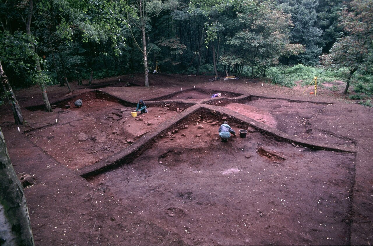 Викиншка гробница у Хеатх Вооду, Дербисхире, УК, ископава се.