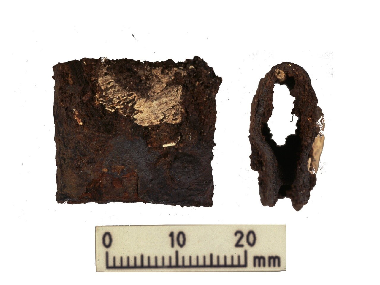Копча са штита викиншког ратника пронађена током првобитних ископавања 1998-2000. Копча је пронађена у истом гробу као и људски и животињски остаци анализирани током последњих истраживања.