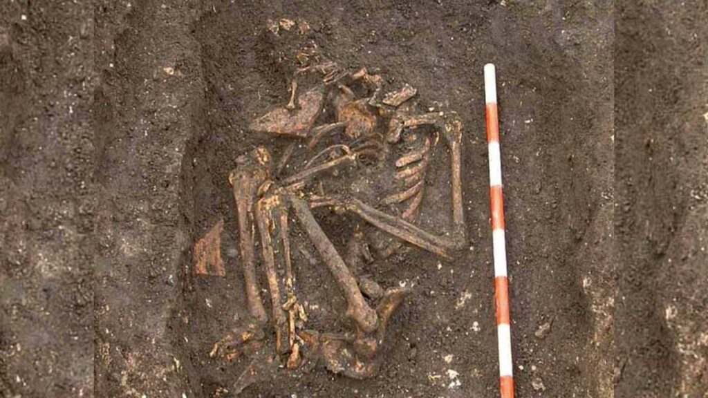 A photo of skeleton SK3870 on site at the excavations at York Barbican. Credit: On Site Archaeology