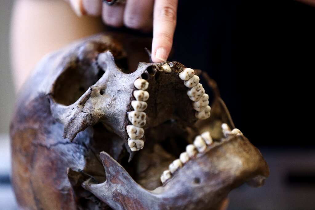 Især tænderne med spor af strontium, et naturligt forekommende kemisk element, der ophobes i menneskelige knogler, kan pege på specifikke områder gennem deres geologi.