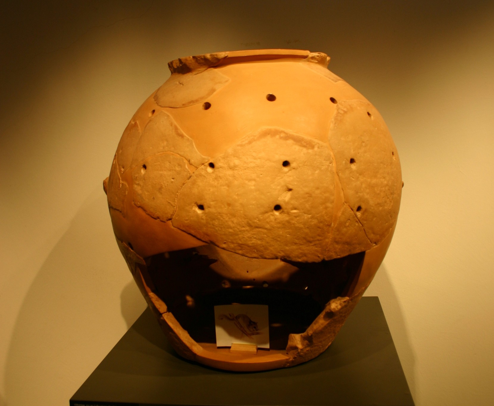 Et glirarium er en terrakottabeholder som brukes til å holde spiselige sovesaler. Disse dyrene ble ansett som en delikatesse i den etruskiske perioden og senere i Romerriket.