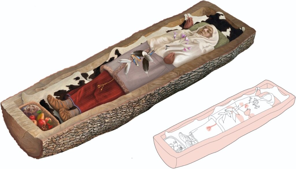 Donna celtica trovata sepolta all'interno di un albero "con indosso abiti e gioielli eleganti" dopo 2,200 anni 6