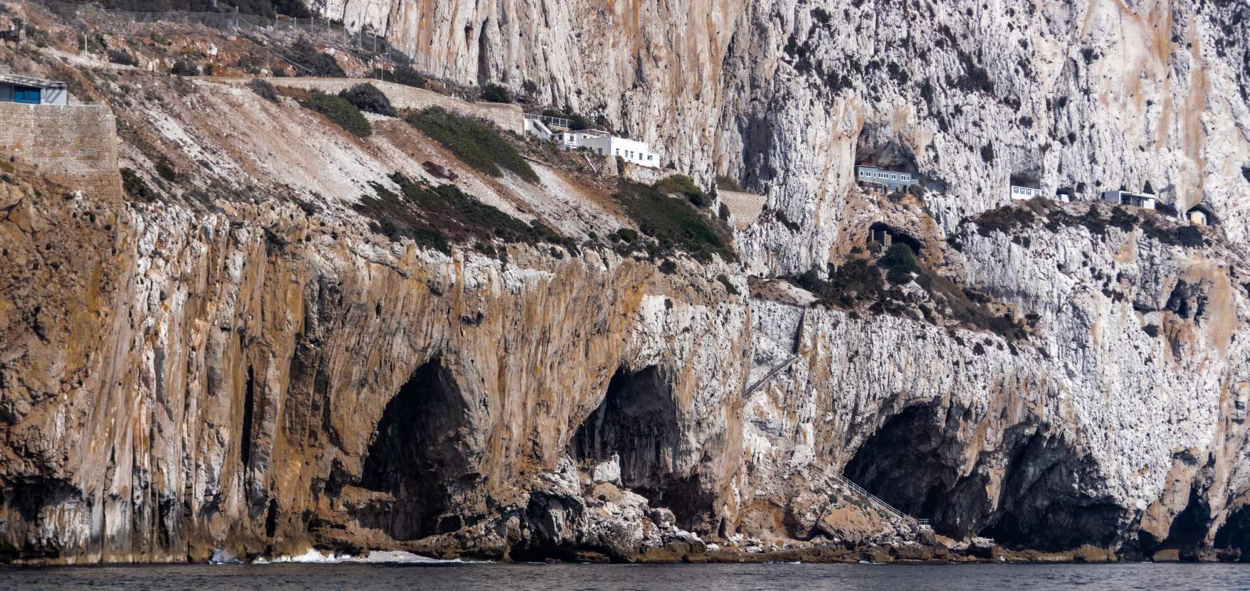 Kompleks Gorhamove jame: Najbolj prepričljiv dokaz, da so ta del jame uporabljali neandralci, je lupina velikega volka, užitne vrste morskega polža. © Avtor slike: Alan Clarke/Shutterstock